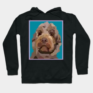 Cute Australian Labradoodle Hoodie